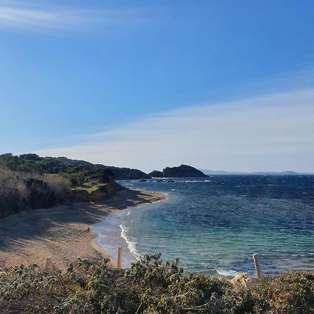 Appartement T2 - Hyeres Gare Luaran gambar